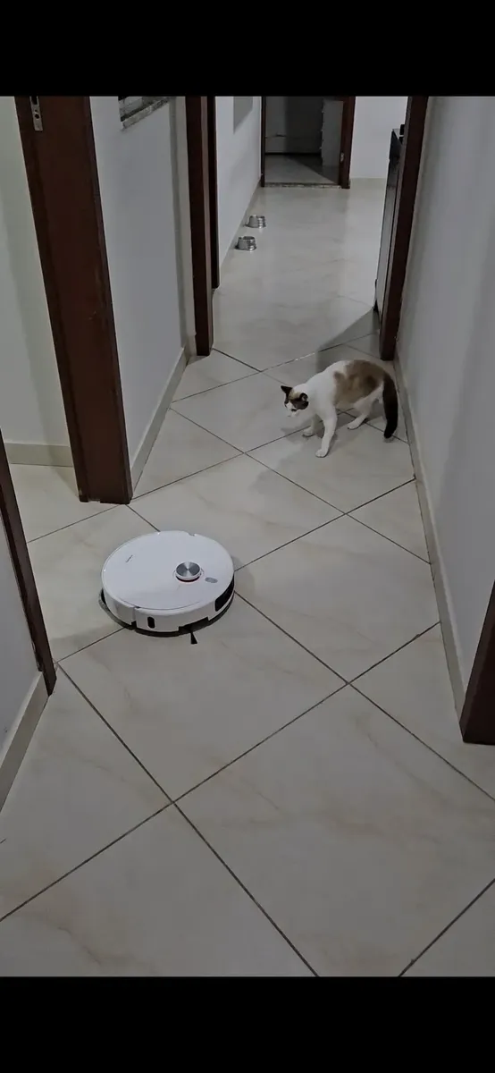 Robô Aspirador Xiaomi S40 Pro 15000Pa Alexa Google Branco BIVOLT 19